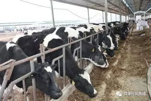 聚焦飼料質(zhì)量與養(yǎng)殖效益——10月23日“行風(fēng)熱線”上線單位 畜牧漁業(yè)飼料銷(xiāo)售單位