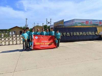畜牧漁業(yè)飼料銷(xiāo)售 構(gòu)建高效、綠色與可持續(xù)的現(xiàn)代養(yǎng)殖基石