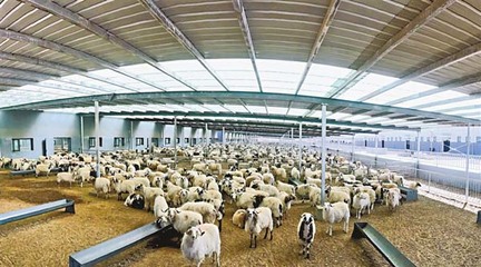 西藏加快建立以產(chǎn)業(yè)扶貧為中心的長(zhǎng)效增收機(jī)制——畜牧漁業(yè)飼料銷(xiāo)售的轉(zhuǎn)型與升級(jí)