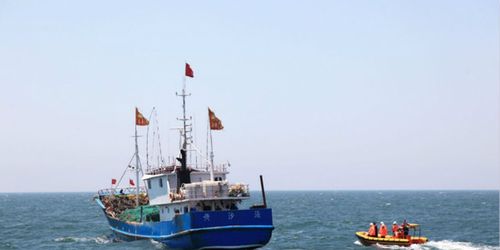 開(kāi)捕喜訊 江蘇海洋漁業(yè)資源好轉(zhuǎn) 啟東漁民捕獲大黃魚(yú)售價(jià)1.8萬(wàn) 畜牧漁業(yè)飼料銷(xiāo)售迎新契機(jī)